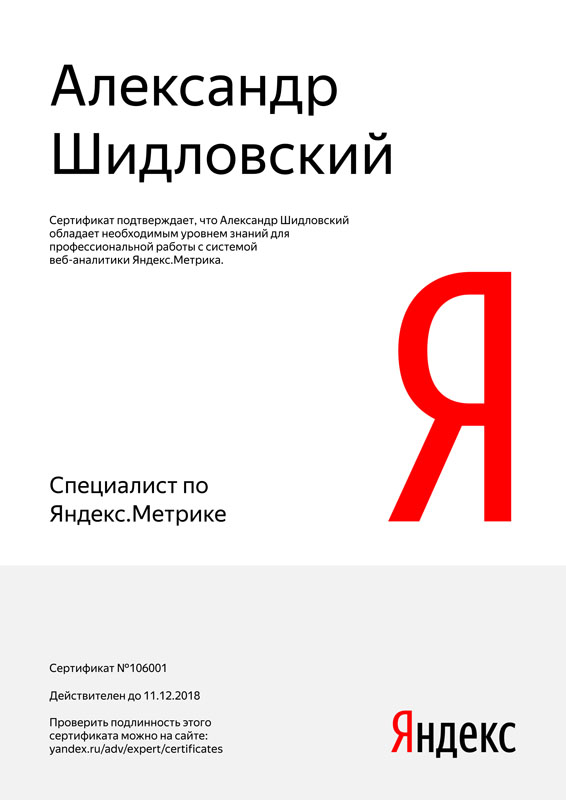 Яндекс.Метрика, Александр Шидловский